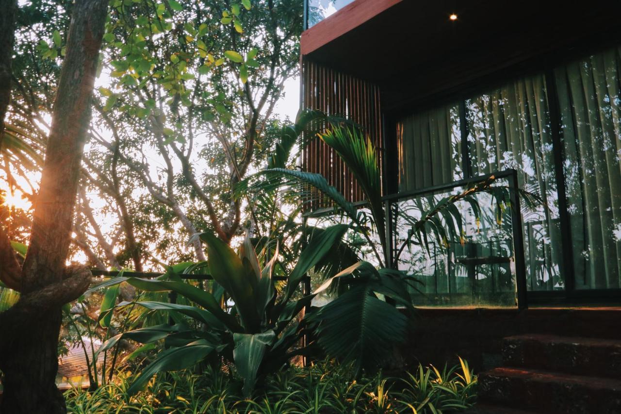 Amazonika Boutique Resort Arpora Buitenkant foto